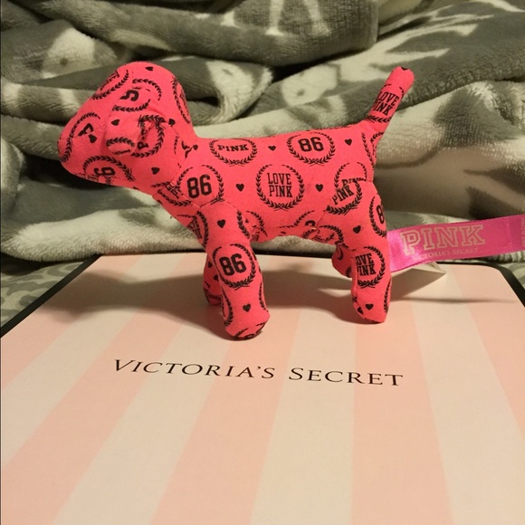 Love Pink dog