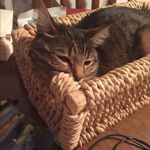 Meet your Posher, Rachel