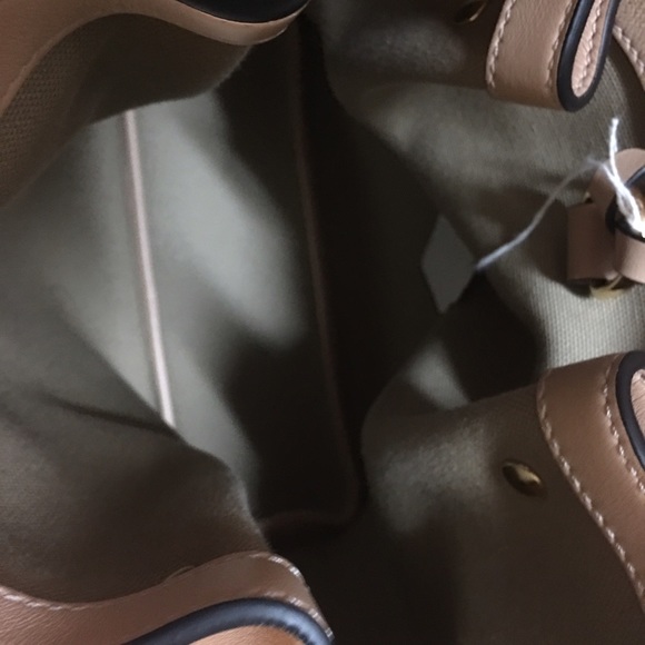 Chloe - Picture 3 of 4