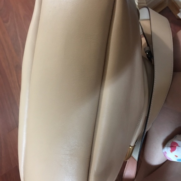 Chloe - Picture 4 of 4