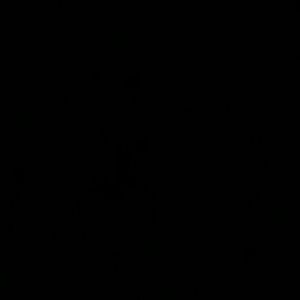 Meet your Posher, Andreina