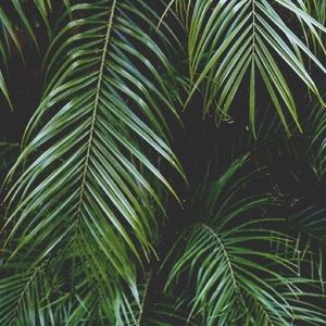 Meet your Posher, Mollie