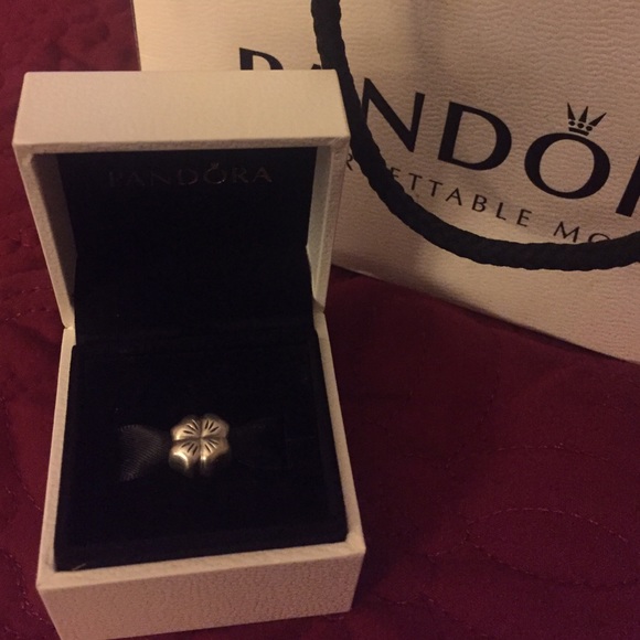 Pandora Charm