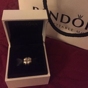 Pandora Charm