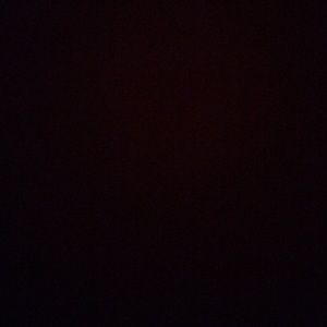 Meet your Posher, Devon