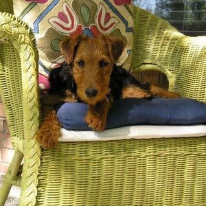 Meet your Posher, Barbara