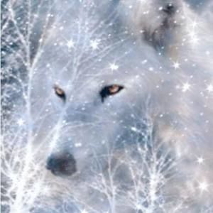 Meet your Posher, Alice