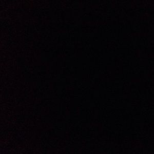 Meet your Posher, Fiona