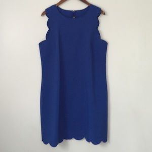 J. Crew Cobalt Scalloped Shift Dresse