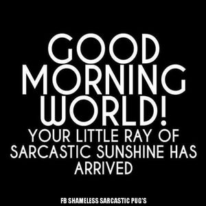 Meet your Posher, Tamara