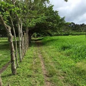 Meet your Posher, Milagros