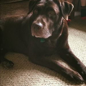 Meet your Posher, Tanya