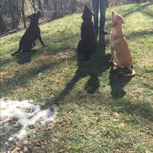 Meet your Posher, Katie