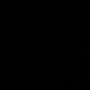 Meet your Posher, Randy