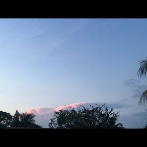 Meet your Posher, Nash