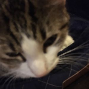 Meet your Posher, Donna