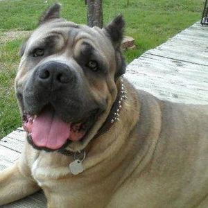 Meet your Posher, Peggy lee