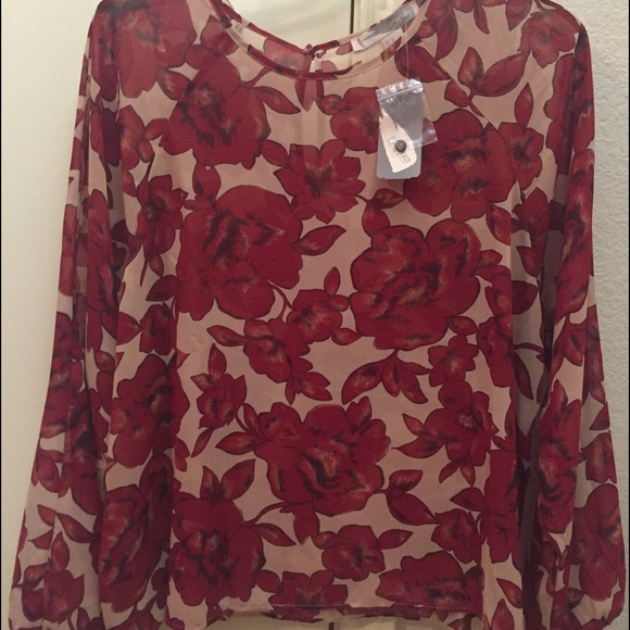 Sheer blouse