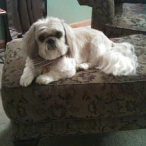 Meet your Posher, Cathy