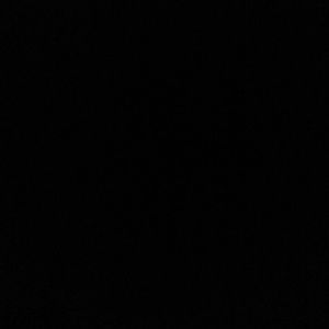 Meet your Posher, Bruce