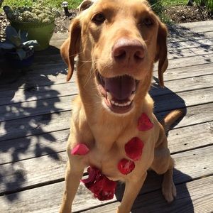 Meet your Posher, Kathleen