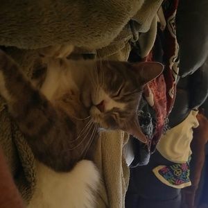 Meet your Posher, Wendy