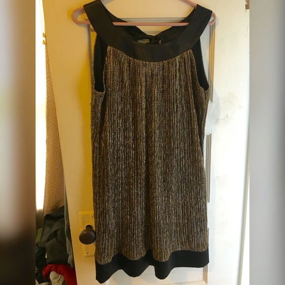 Sparkley dress *great for a 1920's costume*