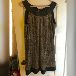 Sparkley dress *great for a 1920's costume*