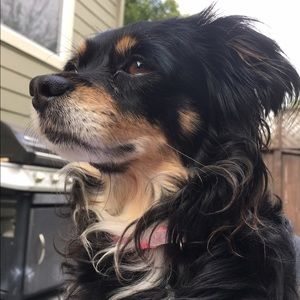 Meet your Posher, Angela