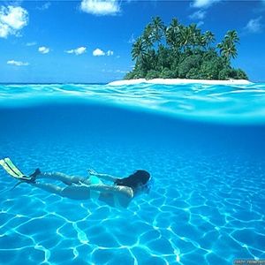 Meet your Posher, Lacy