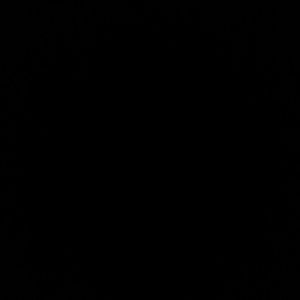 Meet your Posher, Rayelyn