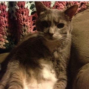 Meet your Posher, Becky