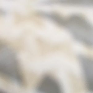 Meet your Posher, Dan