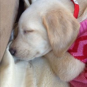 Meet your Posher, Melissa