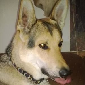 Meet your Posher, Stacy