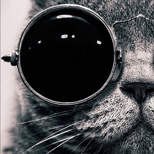 Meet your Posher, May