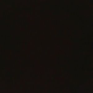 Meet your Posher, Bee