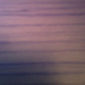 Meet your Posher, Bella