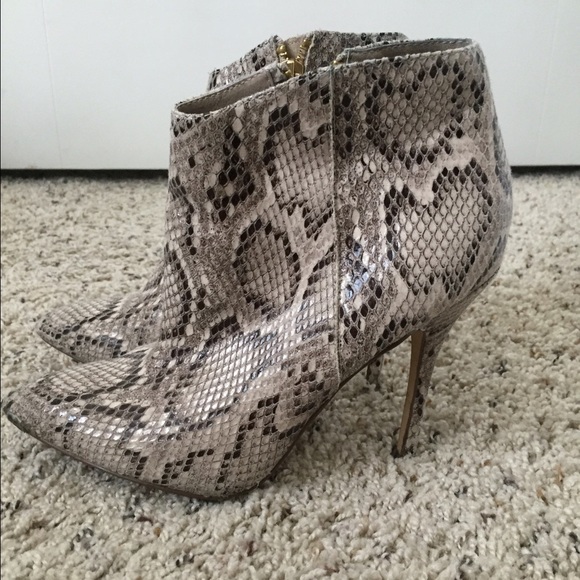 Steve Madden snake booties