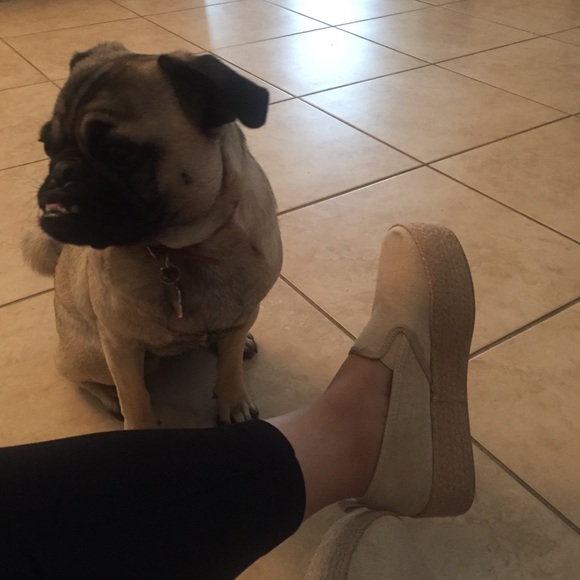 Forever21 Slip-ons - Picture 3 of 4