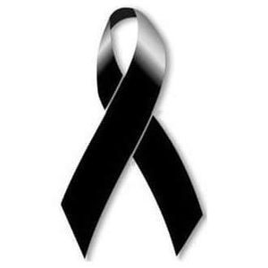 Meet your Posher, Sammy