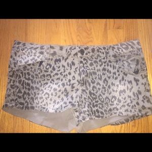 Cheetah Shorts