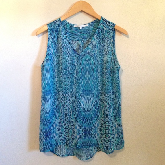 🌟$10 SALE🌟Blue sleeveless sheer top