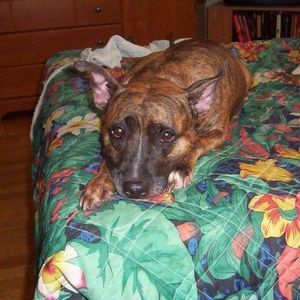 Meet your Posher, Regina