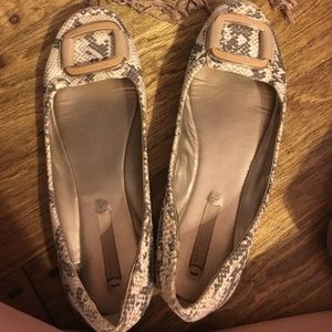 Snake skin flats with a gold rectangle at the top