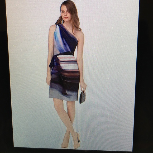 Rachel Roy dress.