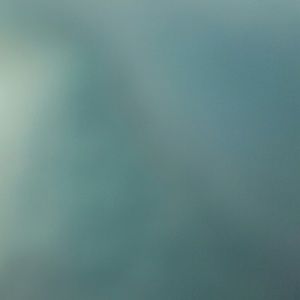 Meet your Posher, Randi