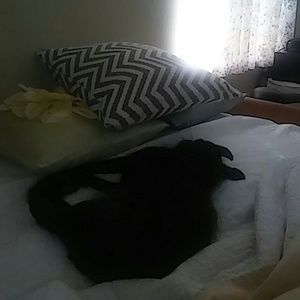 Meet your Posher, Lori