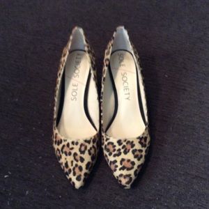 Leopard wedge