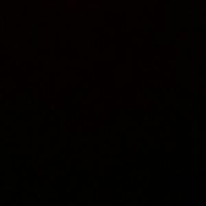 Meet your Posher, Ramona